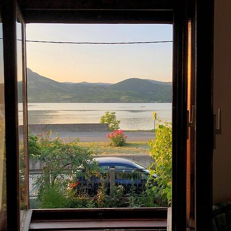 Apartman Velojic Donji Milanovac Exterior foto
