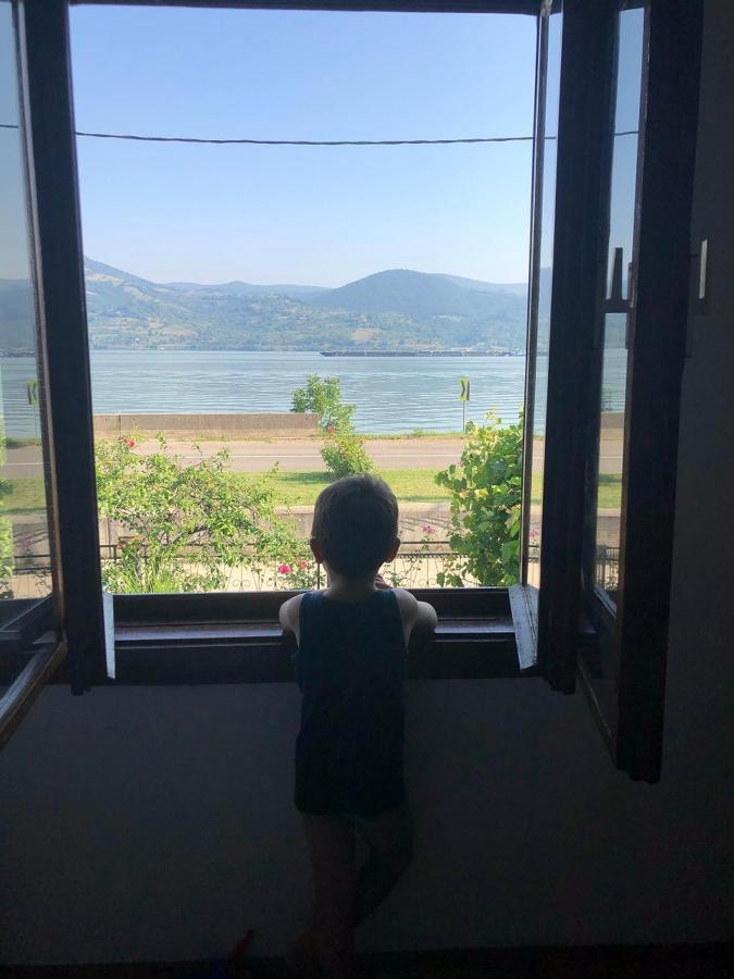 Apartman Velojic Donji Milanovac Exterior foto