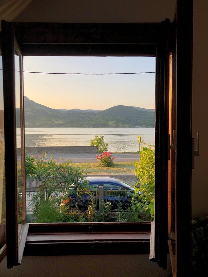 Apartman Velojic Donji Milanovac Exterior foto